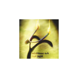 Wishbone Ash  First Light CD (2007)