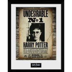 GB eye Undesirable No 1 poster 30 x 40 cm 1 pc(s)