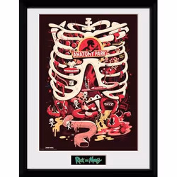 GB eye Anatomy Park