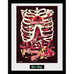 GB eye Anatomy Park poster 30 x 40 cm 1 pc(s)