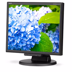 NEC E172M computer monitor 43.2 cm (17") 1280 x 1024 pixels HD LED Black