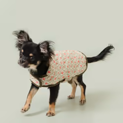 Cath Kidston Dog Raincoat Reversible Machine Washable Dog Jacket XS