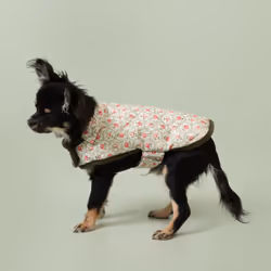 Cath Kidston Dog Raincoat Reversible Machine Washable Dog Jacket XS