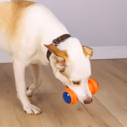 Tough Durable Dog Toy, LED Flashing Interactive Toy