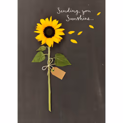 Sending You Sunshine Birthday Greeting Card Into The Meadow Range Cards
