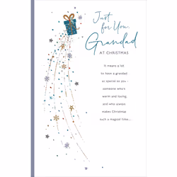 For You Grandad Traditional Foiled Christmas Greeting Card Special Xmas Cards
