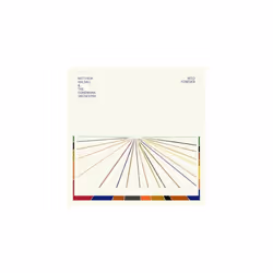 Into Forever [VINYL]