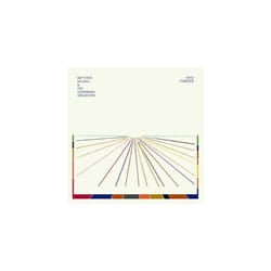 Into Forever [VINYL]