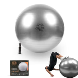 Phoenix Fitness 65cm Grey Exercise Ball