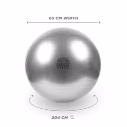 Phoenix Fitness 65cm Grey Exercise Ball