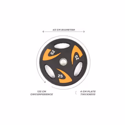 Phoenix Fitness 25KG Olympic Weight Plate