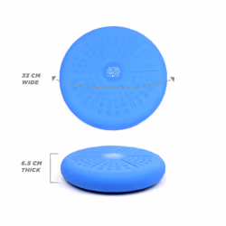 Phoenix Fitness Blue Wobble Cushion
