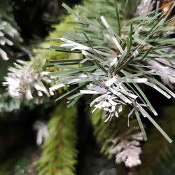 Snowtime 6ft (1.8m) Frosted Glacier Pine Christmas Tree Snow Tipped & Pine Cones