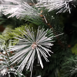 Snowtime 6ft (1.8m) Frosted Glacier Pine Christmas Tree Snow Tipped & Pine Cones - Additional view 4