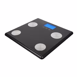 Milestone Srl Anatomy