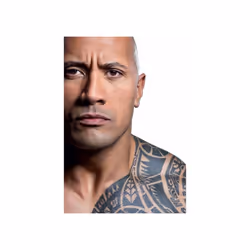 The Rock - The Epic Journey Of Dwayne Johnson - Single Disc Edition (DVD)
