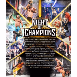Night Of Champions 2023 (DVD)