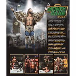 WWE: Money in the Bank 2023 (DVD)