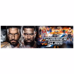 WWE SummerSlam 2023 (DVD)