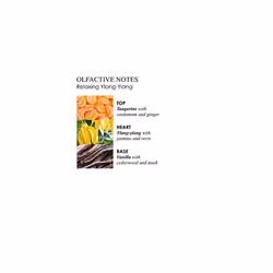 Relaxing Ylang-Ylang Bath and Shower Gel 300 ml