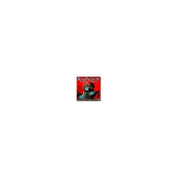 Shogun Total War (PC)