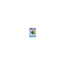Theme Hospital (Collector's Edition)