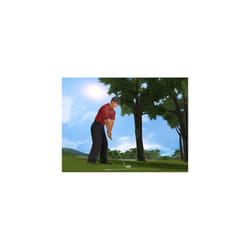 Tiger Woods PGA Tour 2003 Classic (PC)