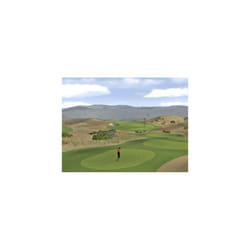 Tiger Woods PGA Tour 2007 (PC DVD)