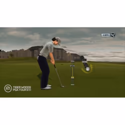Electronic Arts Tiger Woods PGA Tour 11, Wii