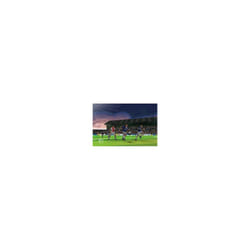 Electronic Arts FIFA 07