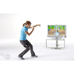 Electronic Arts EA Sports Active Standard Wii