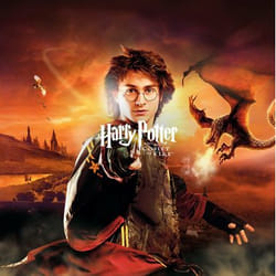 Electronic Arts Harry Potter and the Goblet of Fire Standard Nintendo DS