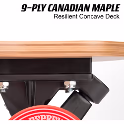 Osprey Twin Tip Longboards, Complete Skateboard - Cube
