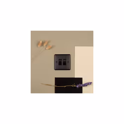 1 Gang 10 Amp 2 Way Switch