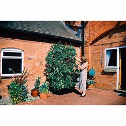 Mini Grow Bed & Crop Support Frame