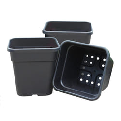 Garland - 25cm Square Tomato Pots - Pack 3