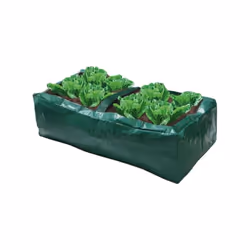 Salad Bag