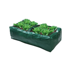 Salad Bag