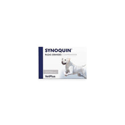 Synoquin EFA Large Breed TASTY x30