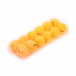 Karakal 12 Table Tennis Balls 1 Star PE Starter Balls - Orange