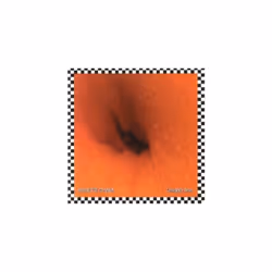 Unsightly Scar - Skalette OHara CD