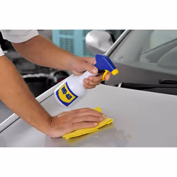 WD-40 44506/SIL WD-40 5 Litre & Free Silicone Can
