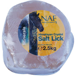 NAF Himalayan Salt Licks - Medium