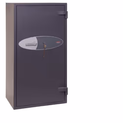 Phoenix Safe Co. Elara Wall safe 197 L Grey