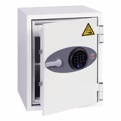 Phoenix Safe Co. Phoenix Battery Fighter Size 1 Lithium Ion Battery St