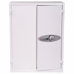 Phoenix Safe Co. FS1512E safe 359 L White