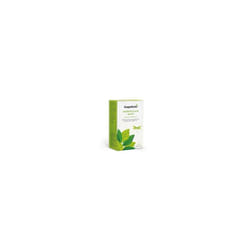 Dragonfly Organic Morrocan Mint Green 40g (20s) x4