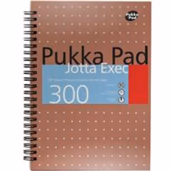Pukka PUKKA JOTTA EXEC A4PLUS 300P COPPER