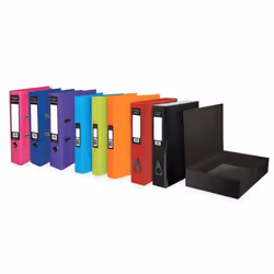 Pukka PUKKA BRIGHTS BOX FILE FC ASST PK10