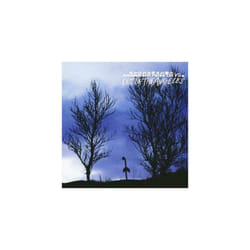Amusement Parks On Fire  Out of Angeles CD (2006)
